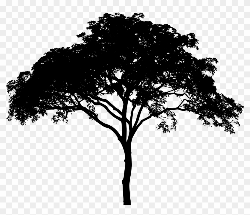 Savannah Big Image Png - Transparent Tree Silhouette Clipart #49012