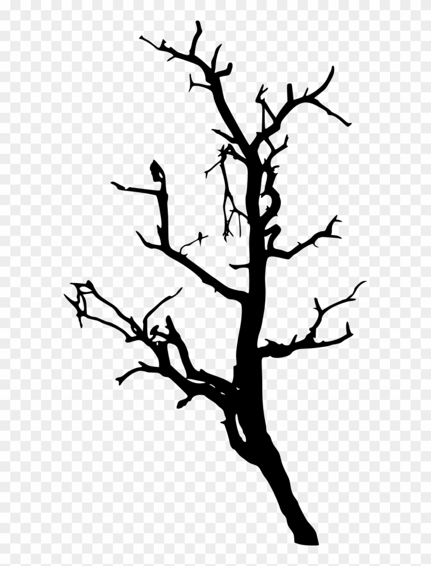 Pine Trees Forest Silhouette - Portable Network Graphics Clipart