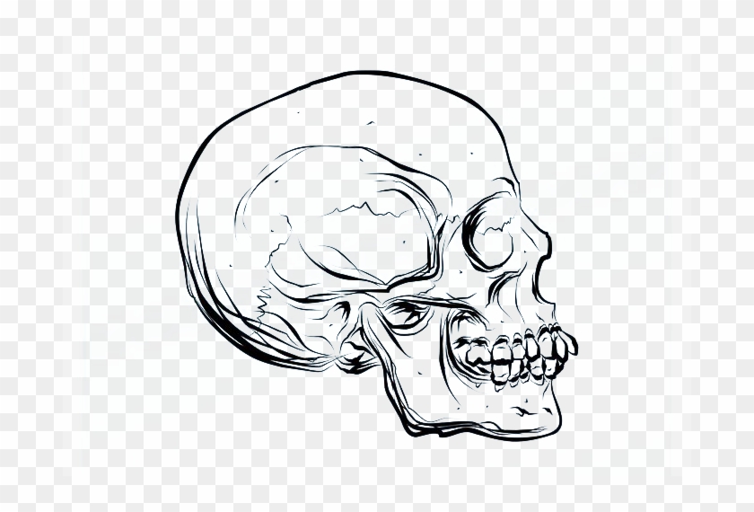700 X 490 5 - Vector Skulls Clipart #400232