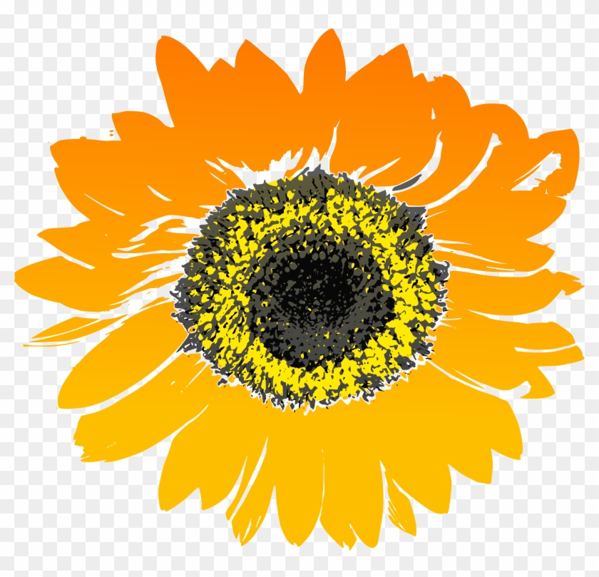 Sunflower Clip Art Library Library - Sunflower Drawing No Background - Png Download #400544