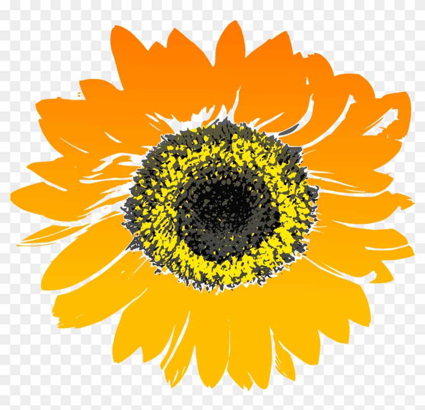 Sunflower Clip Art Library Library - Sunflower Drawing No Background - Png Download