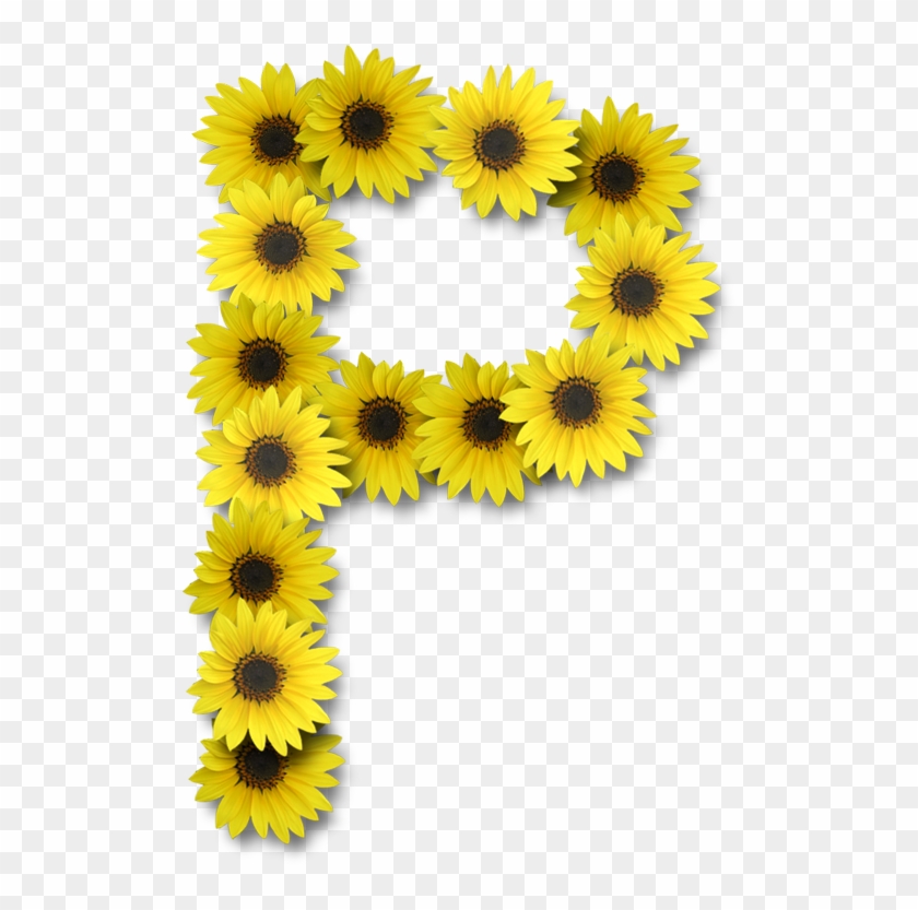 Alfabeto Sunflowers P Alpha Flowers Pinterest Alphabet - Letter P Sunflower Clipart