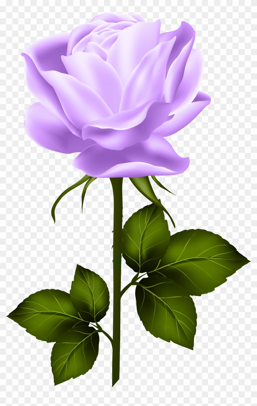 Purple Rose With Stem Png Clip Art - Pink Rose With Stem Transparent Png