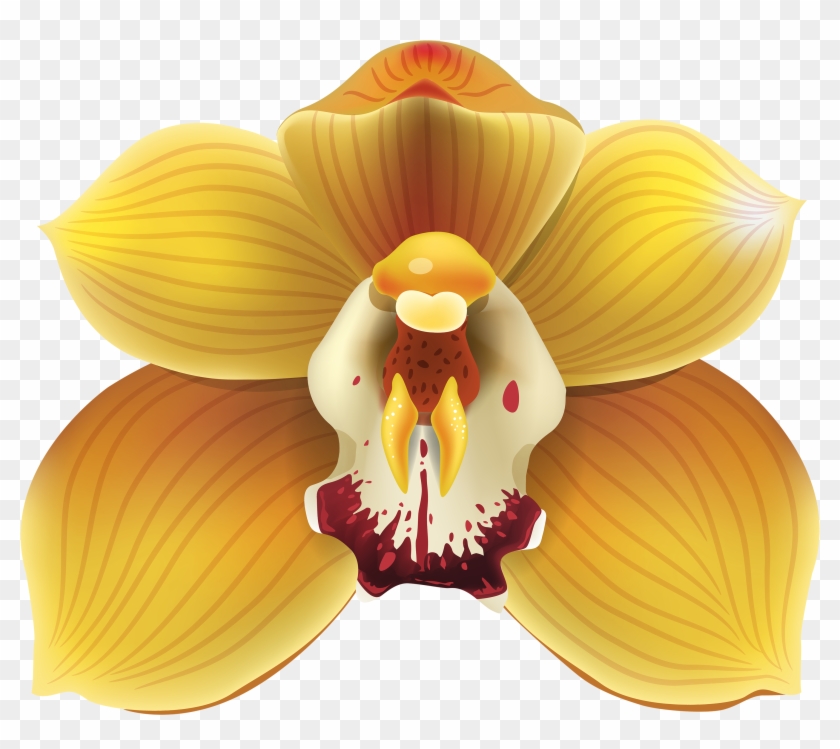 Yellow Orchid Png Clipart - Yellow Orchids Png Transparent Png #401448