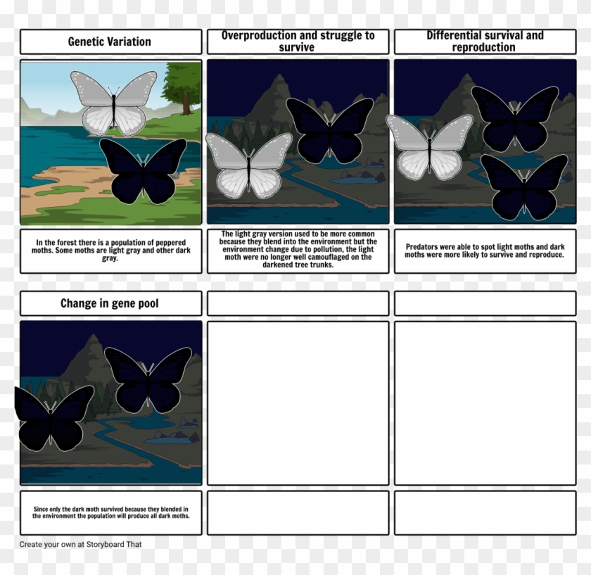 Natural S - Papilio Clipart #401652