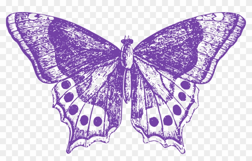 Monarch Butterfly Moth Thumbnail Insect - Big Purple Butterfly Clipart #401738