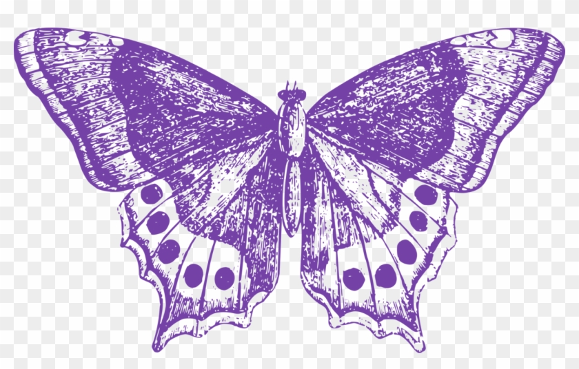 Monarch Butterfly Moth Thumbnail Insect - Big Purple Butterfly Clipart