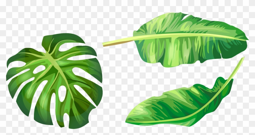 Leaf Euclidean Vector Illustration Hand Painted Handpainted - Banana Leaf Clip Art - Png Download #401828