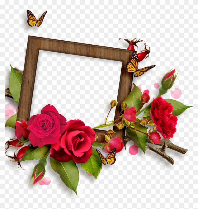 Red Frame With Red Rose - Rose Photo Frame Design Clipart #403209