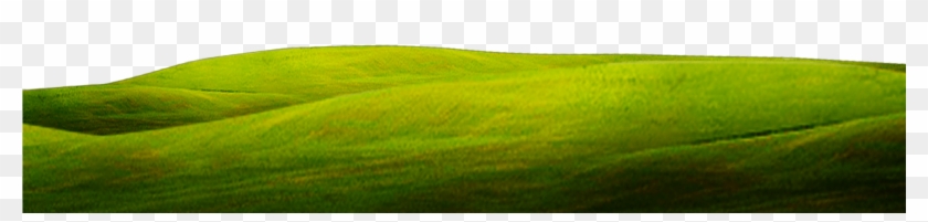 Green Close Up Wallpaper Grass Background 1920*800 - Grass Clipart #403715
