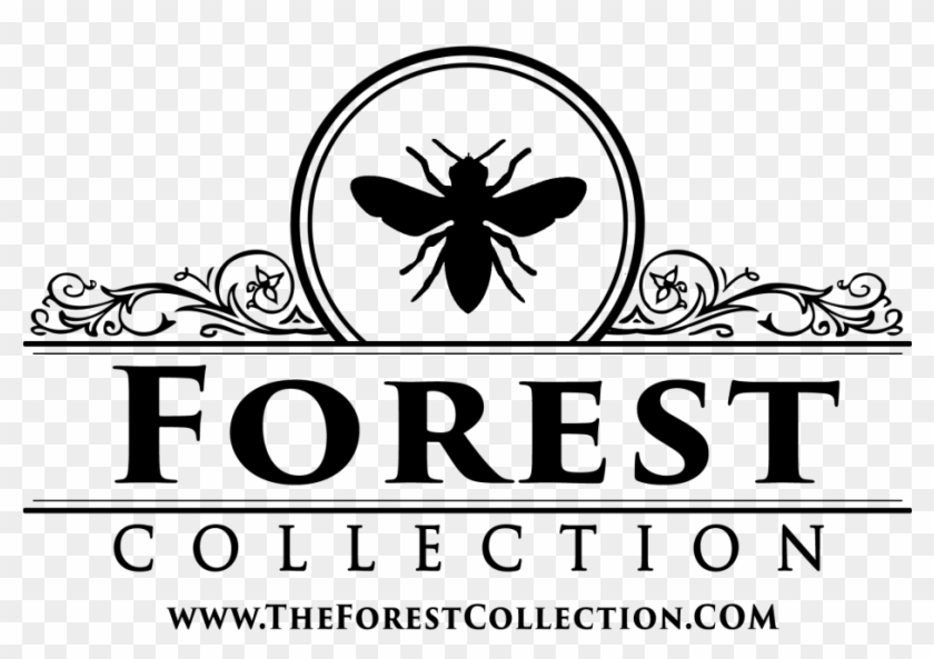 First Team Real Estate Png Clipart