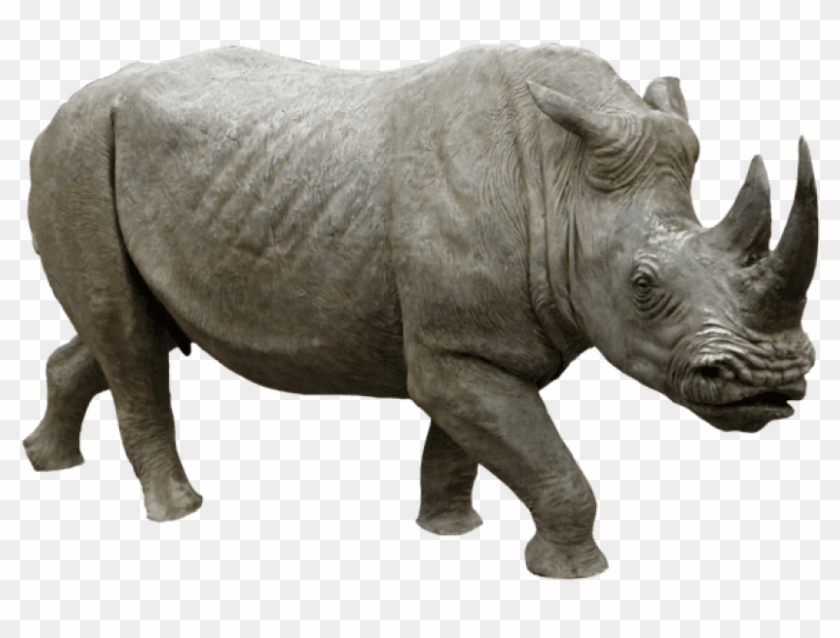 Download Rhino Running Png Images Background - Rhinoceros Png Clipart #405008