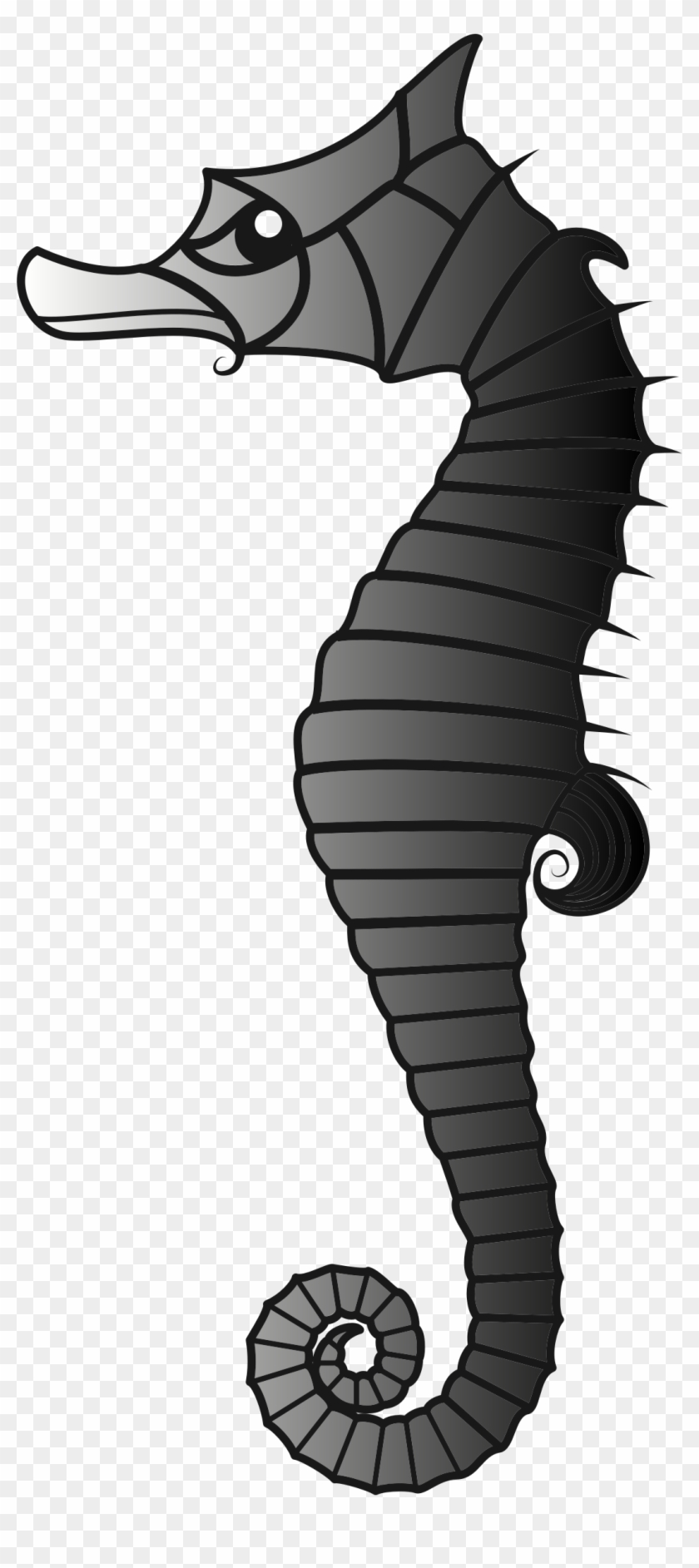Ray Clipart Seahorse - Illustration - Png Download