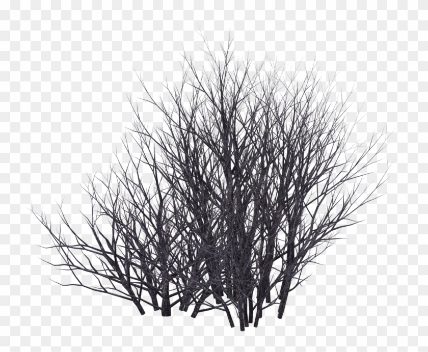 Bush Silhouette Png - Winter Bush Png Clipart