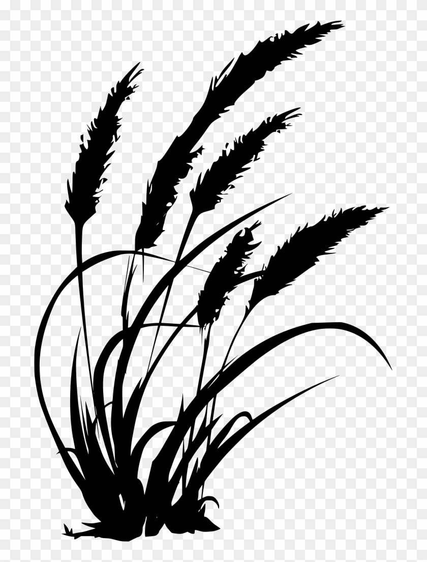 Download Png - Wheat Svg File Clipart #405843
