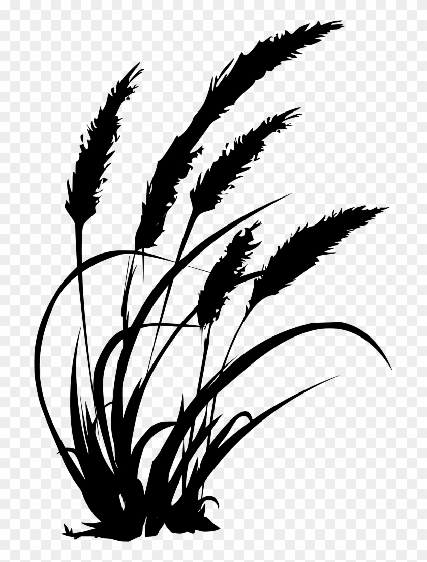 Download Png - Wheat Svg File Clipart