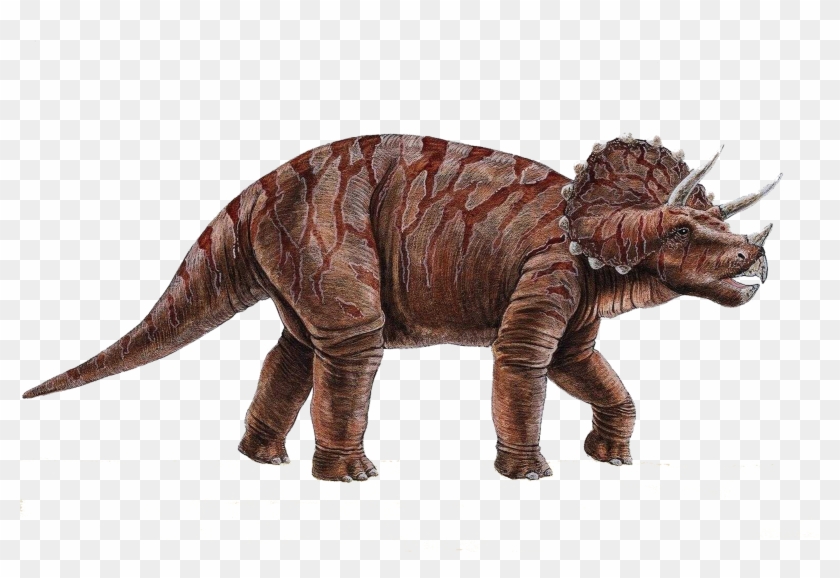 Dinosaur Png - Dinosaur Height In Feet Clipart