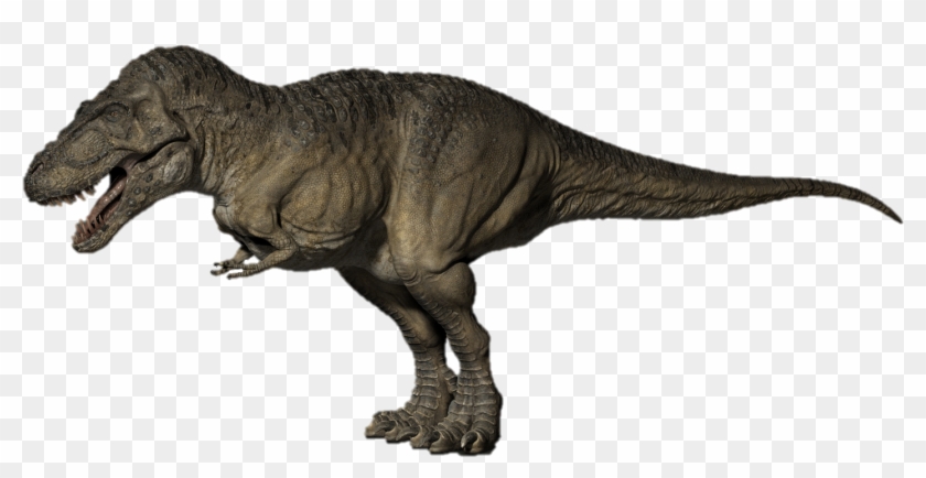 T Rex Triceratops - Ankylosaurus Last Day Of The Dinosaurs Clipart