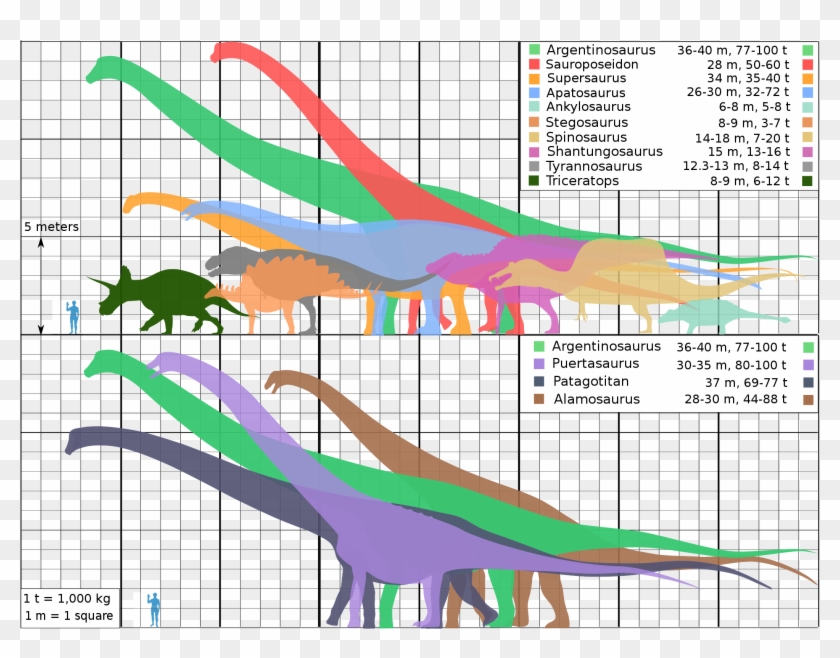 2119 X 1564 3 - Biggest Dinosaurs Clipart #406593