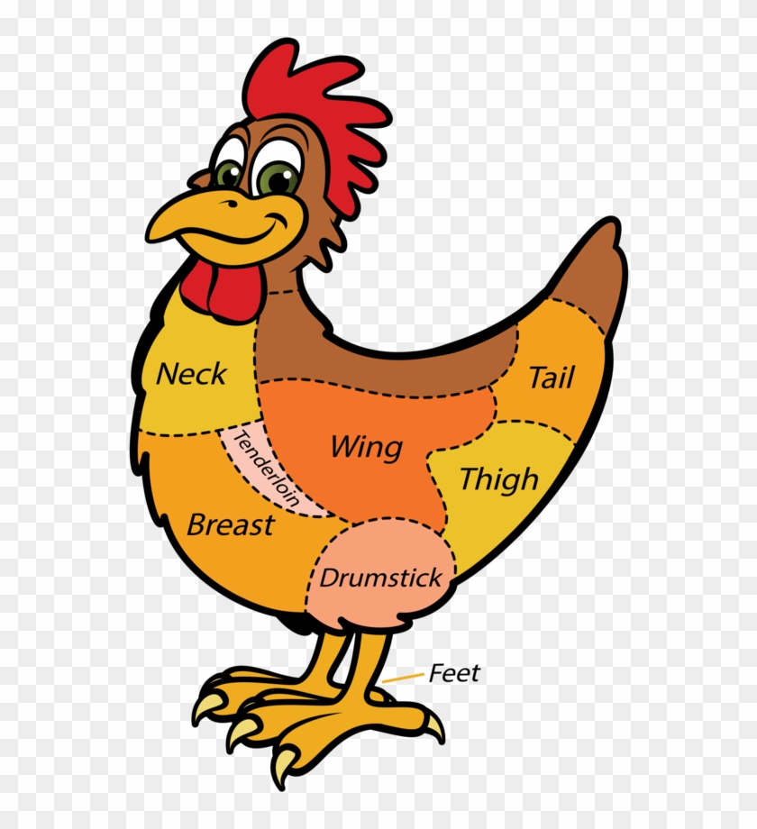 Clipart Chicken Broiler Chicken - Cuts Of Meat Chicken - Png Download