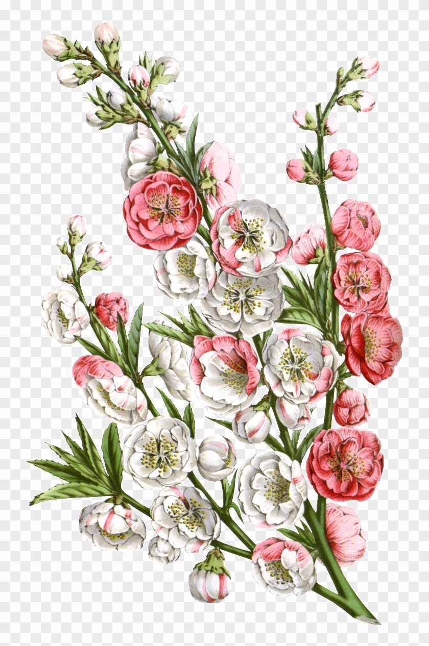 Pink Hd Beautiful Flower Png Element Free Vector - Flower Clipart