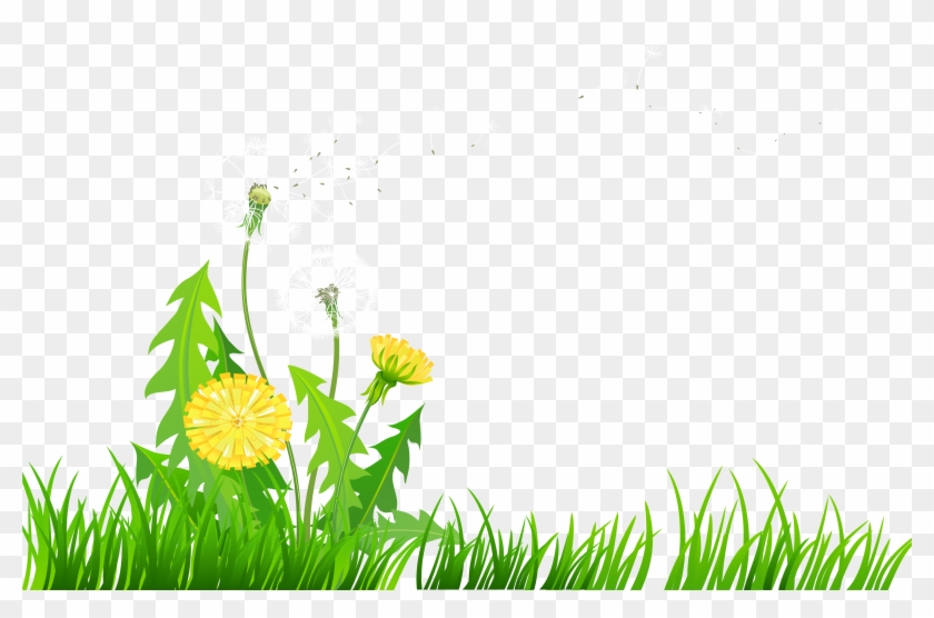 Dandelions Clip Art - Png Download