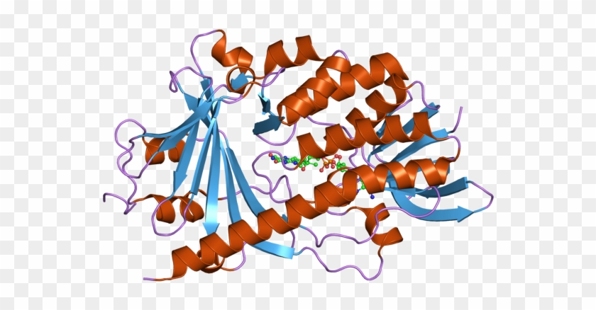 Pdb 3c96 Ebi - Illustration Clipart