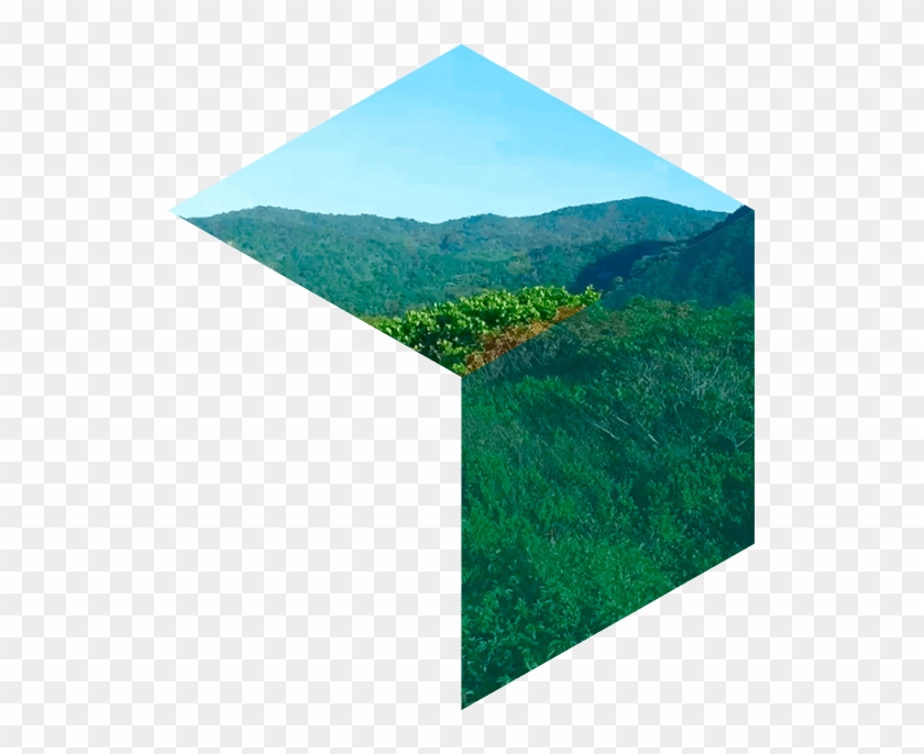 Bricks Ventures , Png Download - Grass Clipart