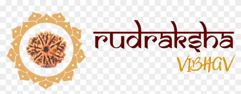 About - Obsidian Bracelet With Charm Clipart #407392