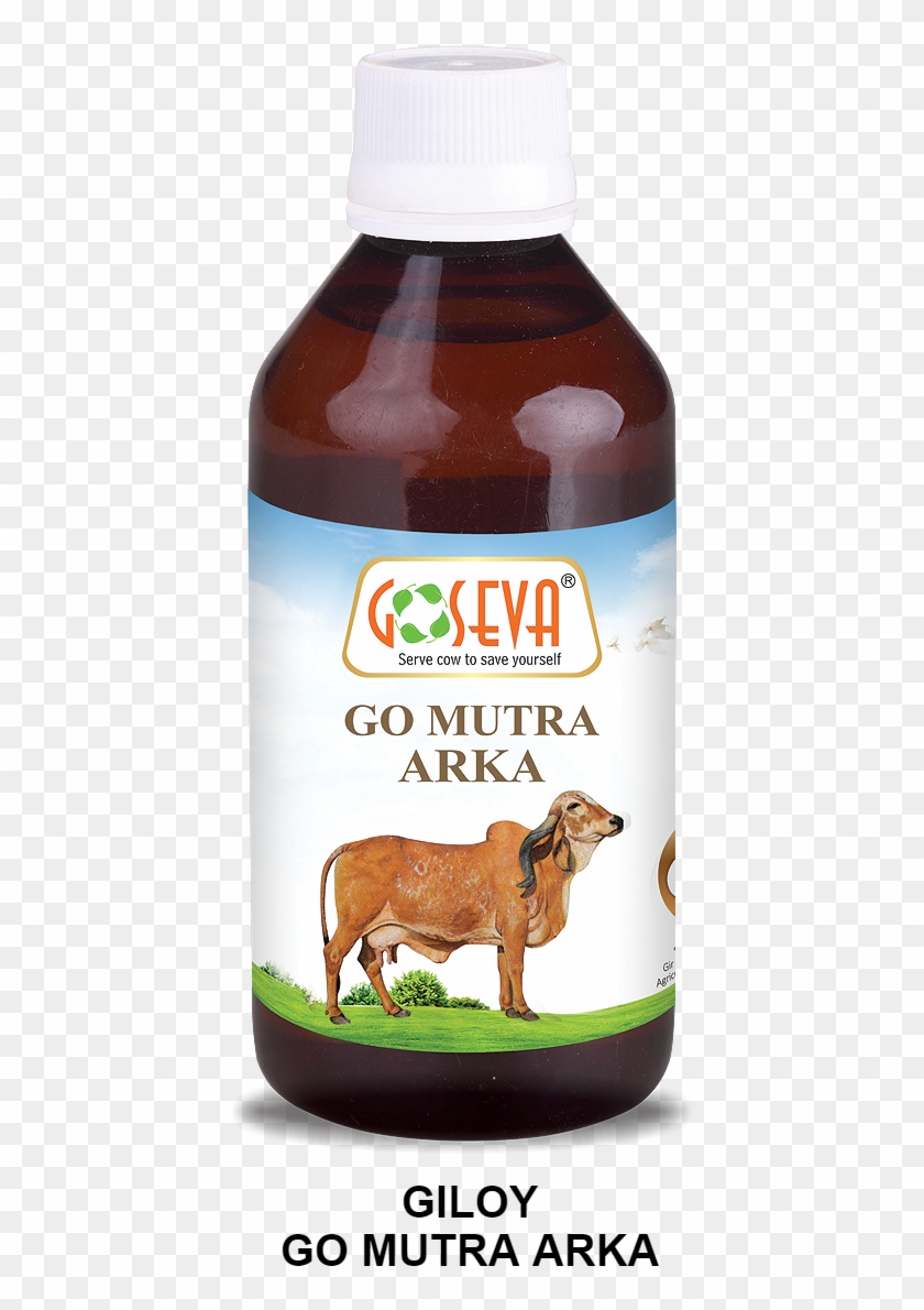 Goseva Giloy Go Mutra Arka - Can Garlic Cure Syphills Clipart #407559