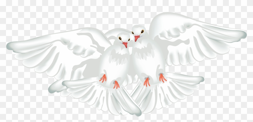 White Doves Transparent Clipart #407650