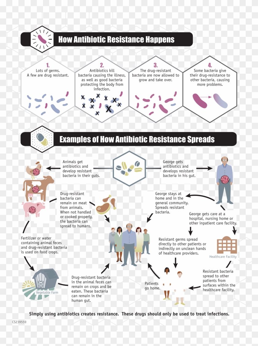 Antibiotic Resistance Threat] - Antibiotic Resistance Of Gmos Clipart #408957
