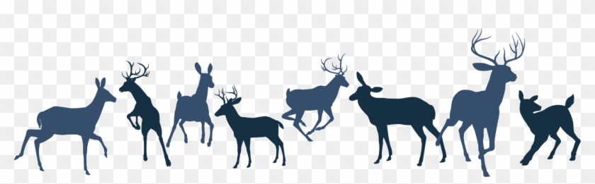Reindeer Herd Transparent Clipart