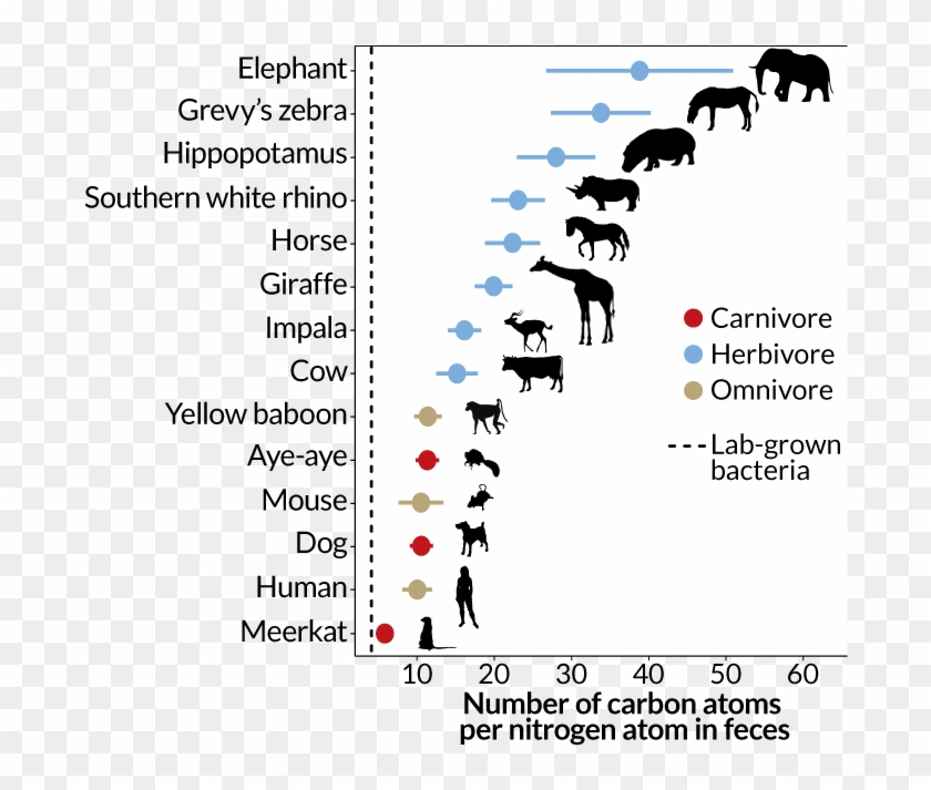 Still - Illustration Clipart #408995