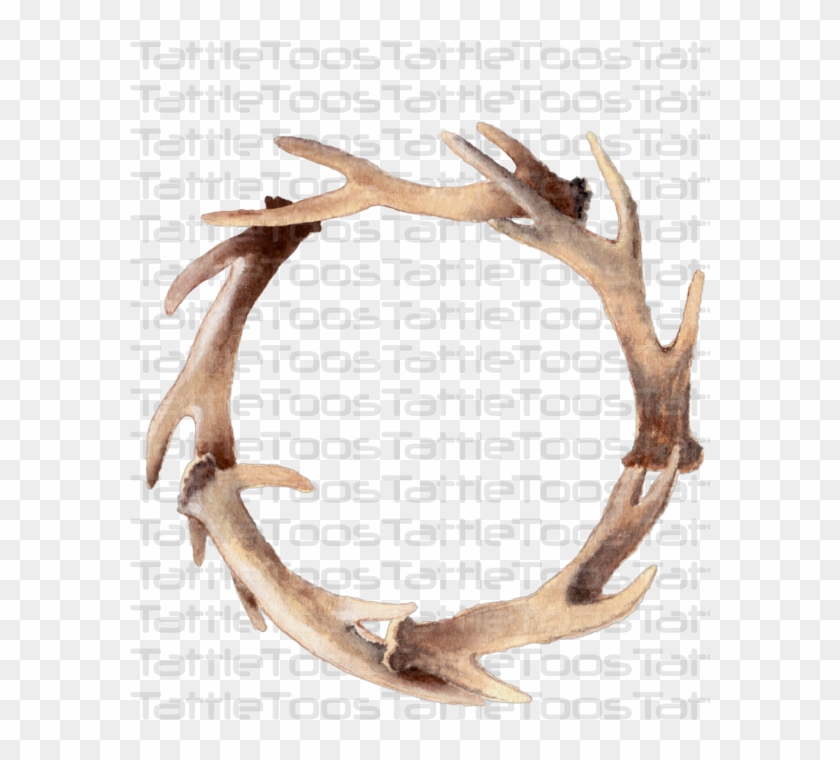 Deer , Png Download Clipart