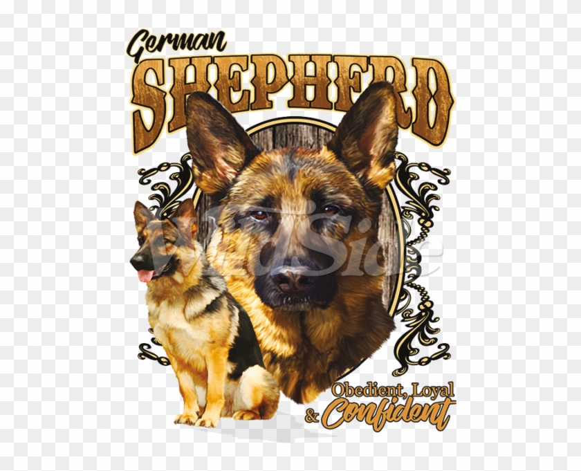 German Shepherd Obedient - Old German Shepherd Dog Clipart