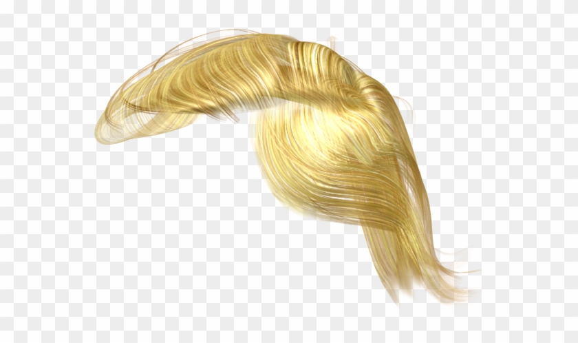 Donald Trump Hair Png - Transparent Trump Hair Clipart