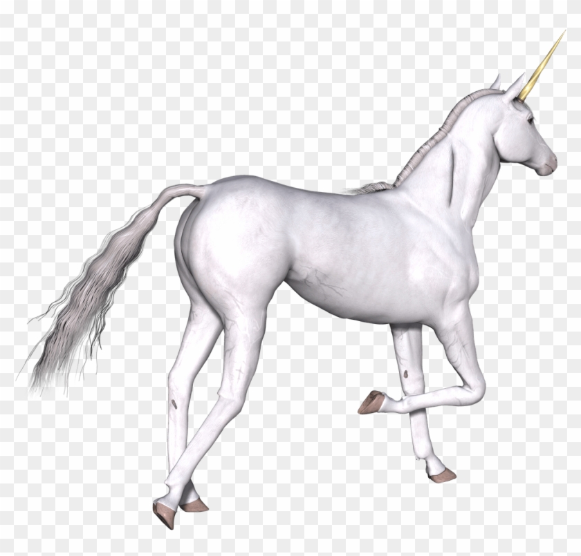 Free Png Download Full White Unrn Right Leg Up Png - Unicorn Clipart #409842