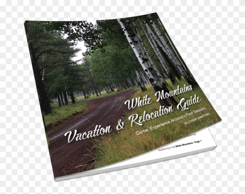White Mountains Vacation & Relocation Guide - Flyer Clipart