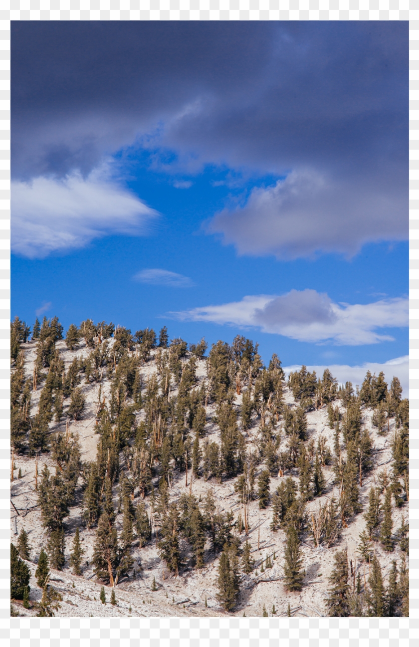 Cycling Up White Mountain Clipart