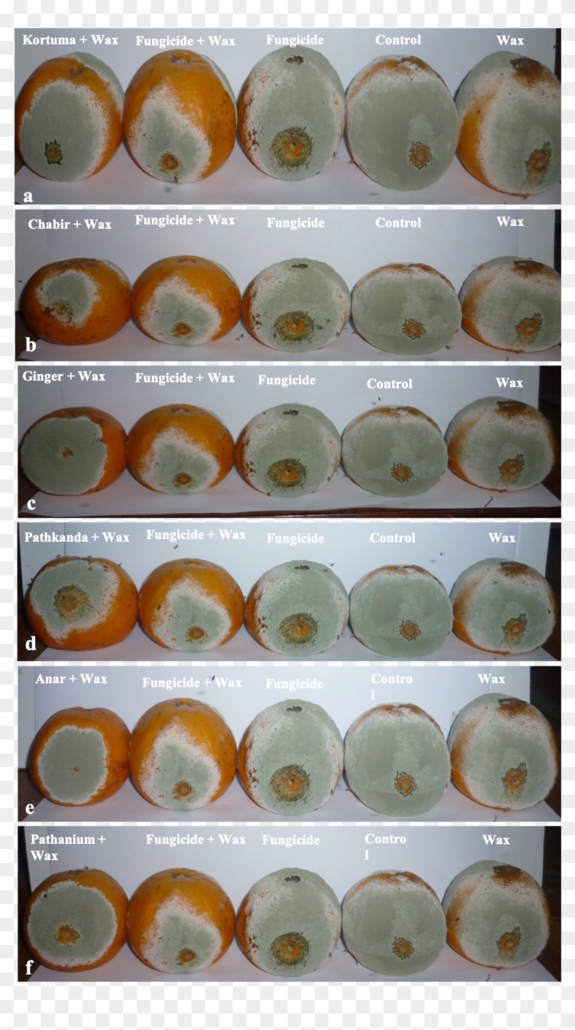 View Larger Version - Cake Clipart