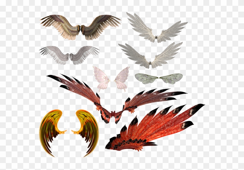 Wing Angel Butterfly Devil Orther - Нарисовать Аниме Мангу Clipart #4001369