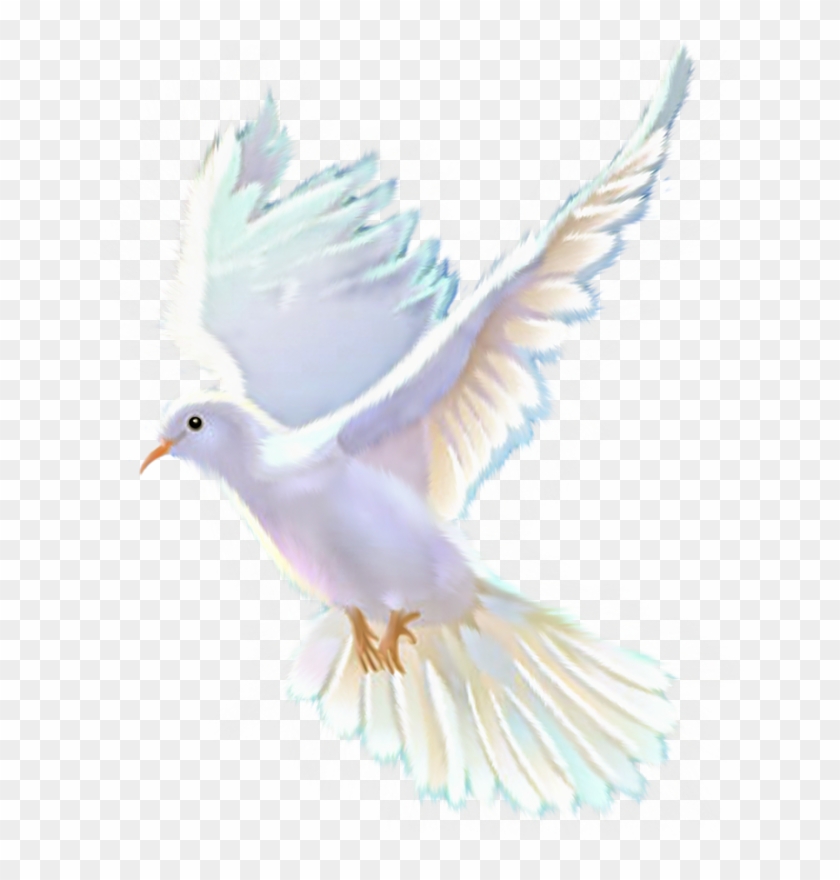 Яндекс - Фотки - Pigeons And Doves Clipart #4002261