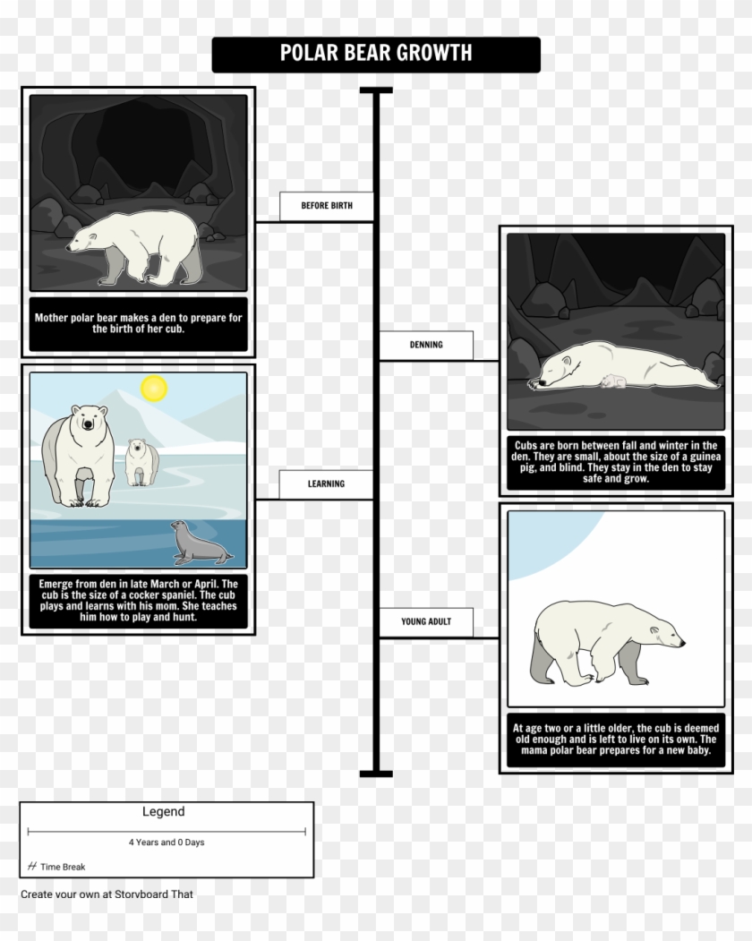 Where Do Polar Bears Live Polar Bear Growth - Polar Bear Life Timeline Clipart