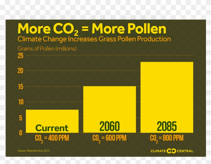 Jpg • Transparent Png - Graphics Clipart