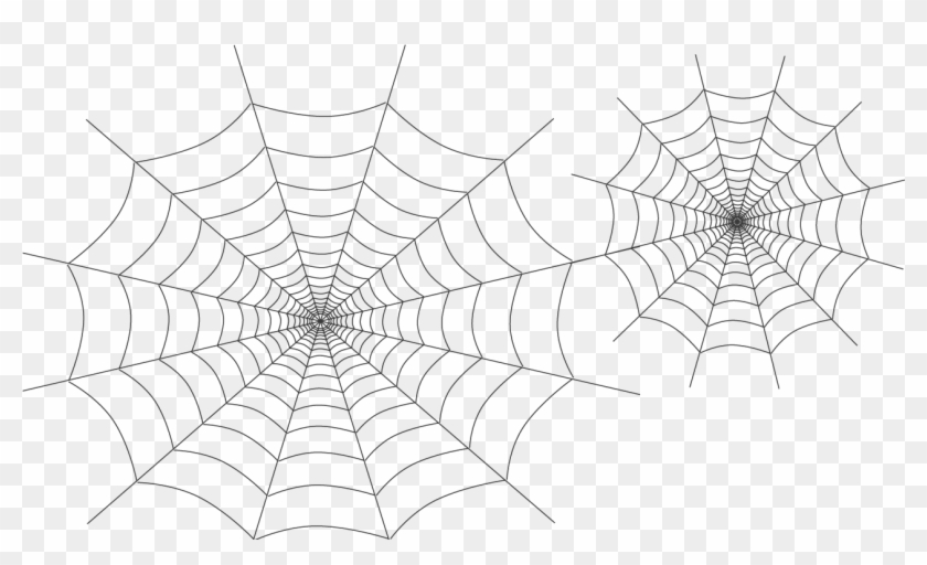 Ragnatela - Spider Web Clip Art - Png Download #4004389