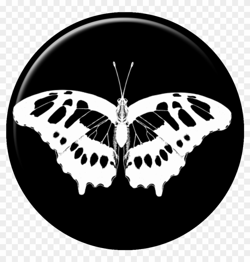 Pb07-01 - Swallowtail Butterfly Clipart #4004527