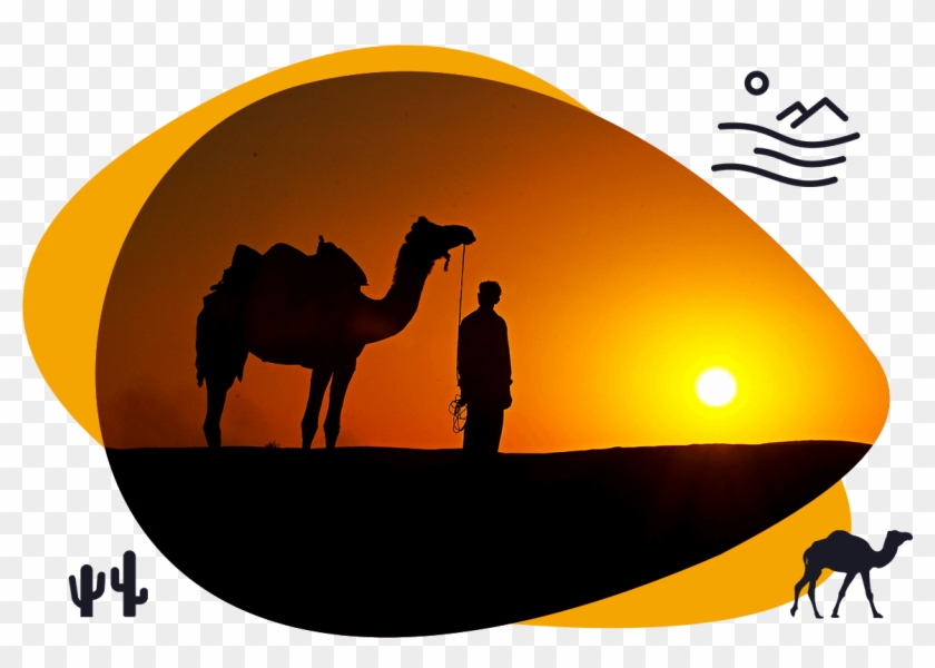 Half Day Sunset Camel Safari Shiva Camels Jaisalmer - Jaisalmer Sand Dunes Clipart