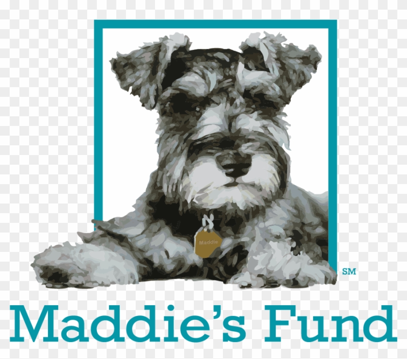 Maddie's Fund Logo Clipart #4007368