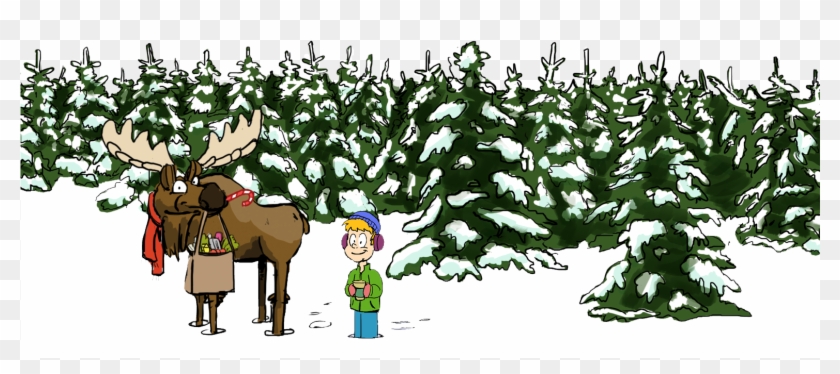 Snowflake Banner Bottom - Cartoon Clipart #4007606